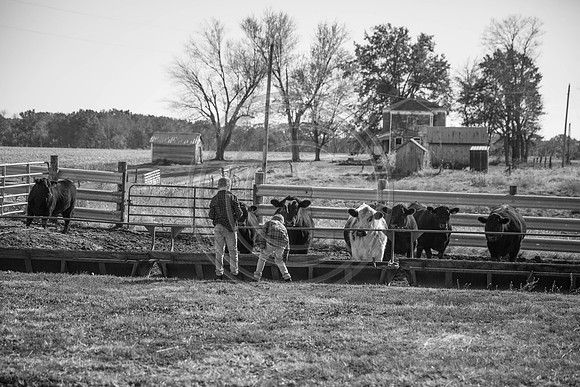 IMG_5918