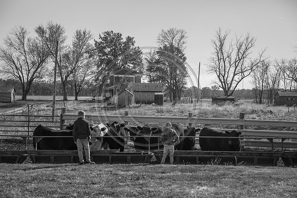 IMG_5972