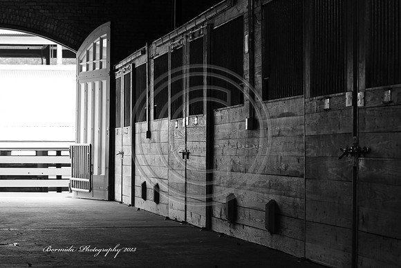 IMG_8732-13