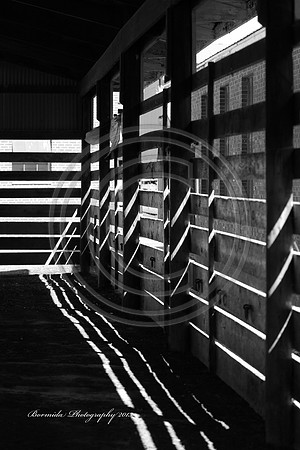 IMG_8942-13
