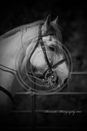IMG_7749-13
