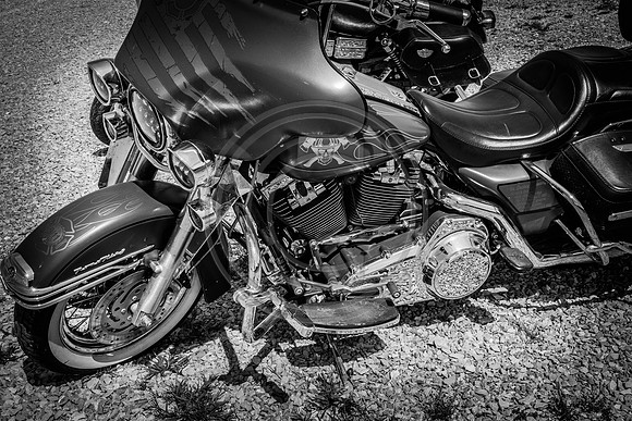 -IMG_0033-b&w