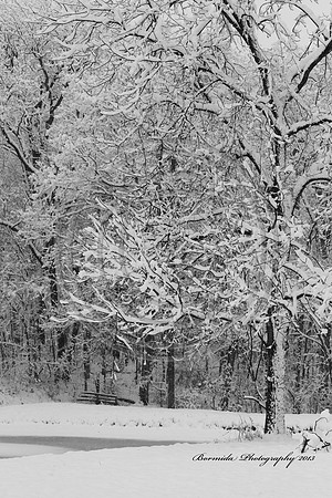 IMG_6072-13