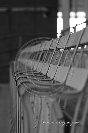 IMG_8978-13